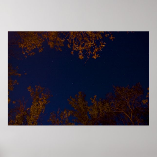 Poster de ponta grande (Frente)