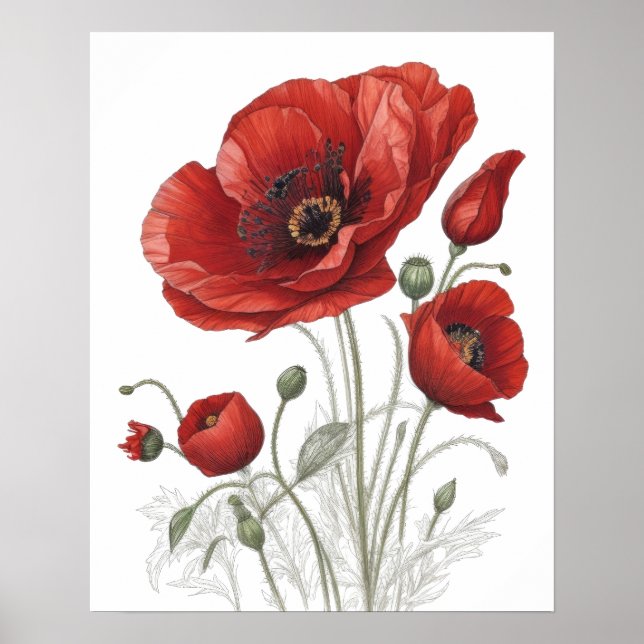 Poster de Poppies Vermelhos (Frente)