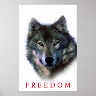 Poster de porta única do lobo da liberdade motivac