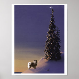 Póster De "poster do Keeshond da árvore de Natal O"