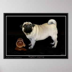 Poster De "poster do Pug do TIRO CANECA"