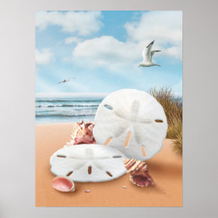 Póster De "poster dos dólares areia" de Alan Giana