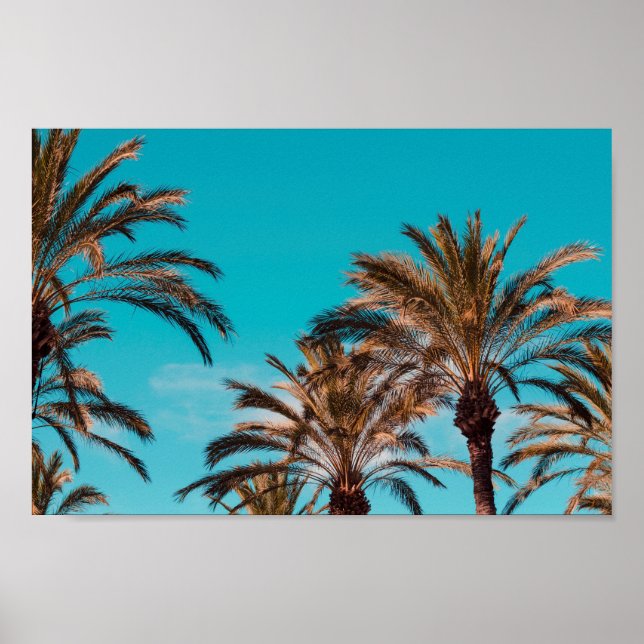 Poster de praia (Frente)