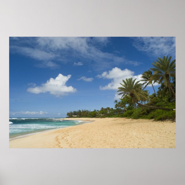 Poster de Praia Havaiana DE 8,99 (Frente)