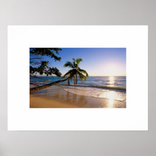 Poster de praia tropical