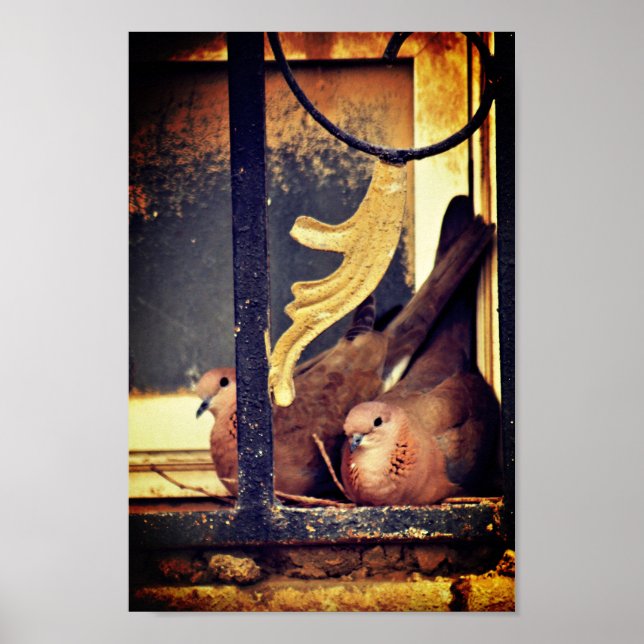 Poster de Preparação do Doente (Frente)