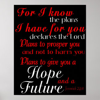 Poster de Presente de Graduação Verso