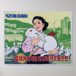 Poster de Propaganda da Coreia do Norte - Coelhinh