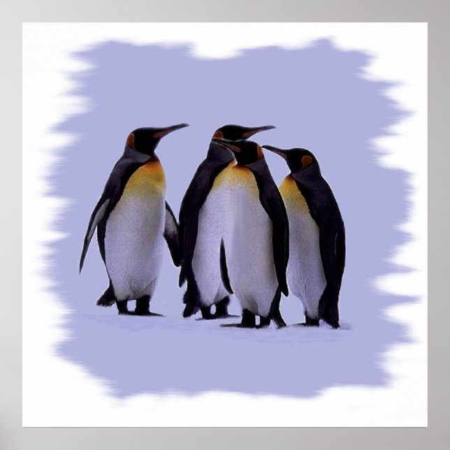 Poster de quatro pinguins 24X24" (Frente)
