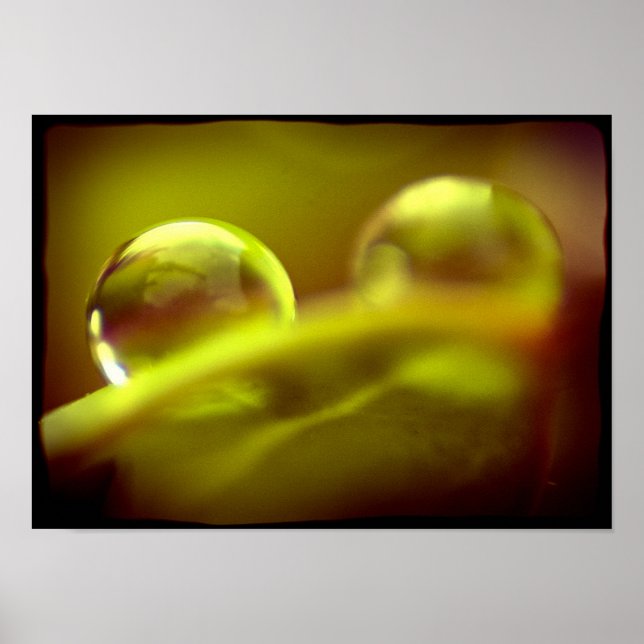 Poster de queda de água (Frente)