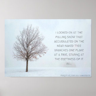 Poster de queda de neve, versão 1