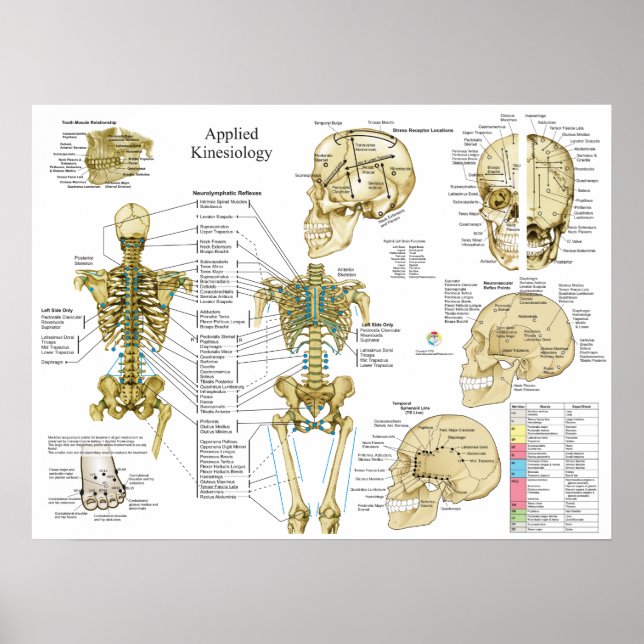 Poster de quiroprática quinesiológica aplicada (Frente)
