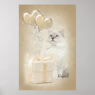 Poster de Ragdoll