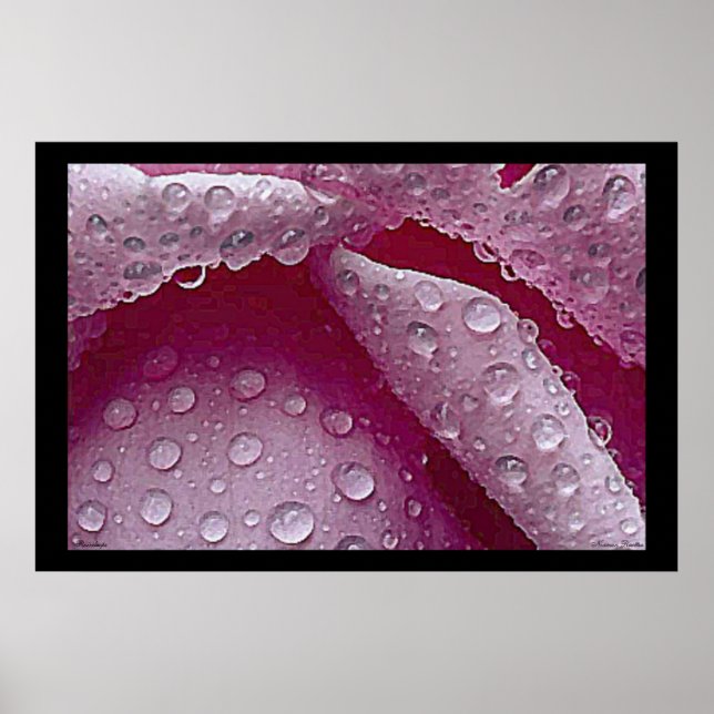 Poster de Raindrops (Frente)