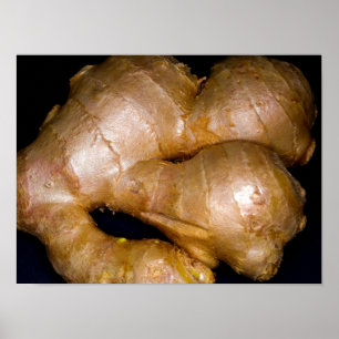 Poster de raiz Ginger
