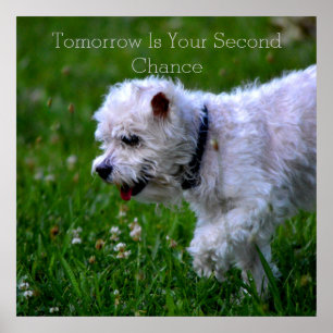 Poster de Recuperação Amanhã