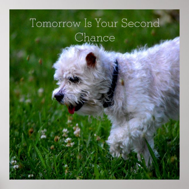 Poster de Recuperação Amanhã (Frente)