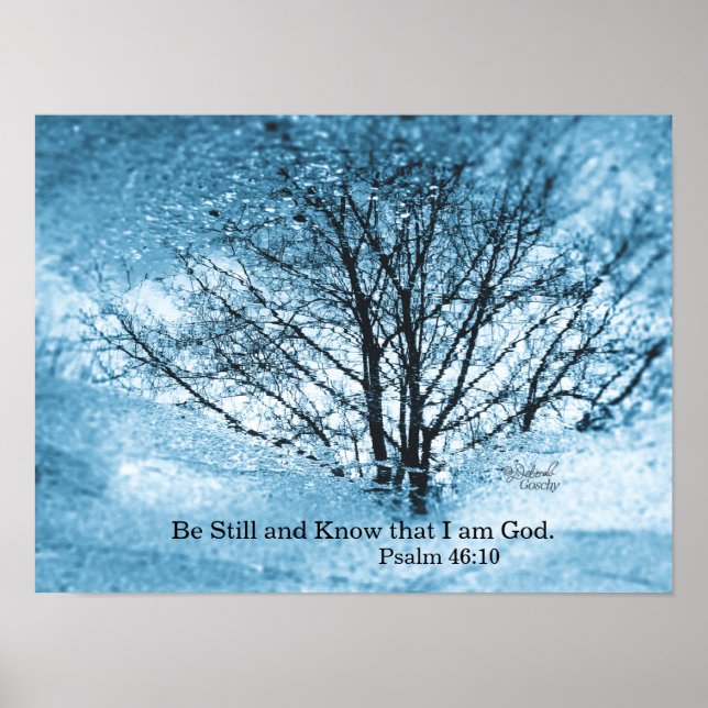 Poster de Reflexão de Árvore (Frente)