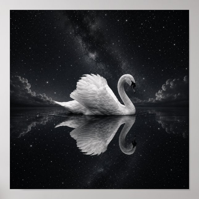 Poster de Reflexo do Cisne Celestial | Preto e Bra (Frente)
