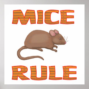 POSTER DE REGRA DE MICE