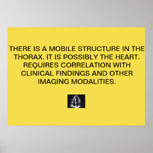 Poster de Relatório Echo Cardiac