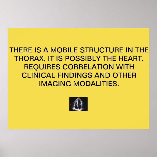 Poster de Relatório Echo Cardiac (Frente)