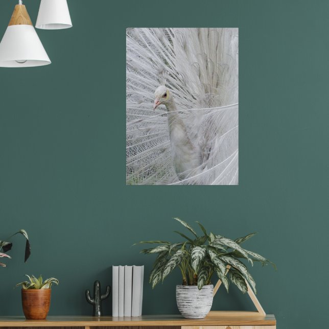 Poster de rendas brancas (Sala de Estar 1)