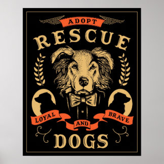 Poster de resgate Amanda