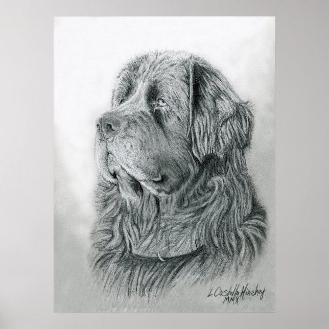 Poster de Retrato da Terra Nova (Frente)