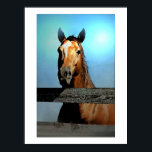 Poster de Retrato de Cavalo<br><div class="desc">Retrato de Cavalo - Rosto/Cabeça de Cavalo - Olho de Cavalo - Animal Digital / Arte de Cavalo - Posters de Trabalho de arte de Aquarela Digital de Cavalo</div>
