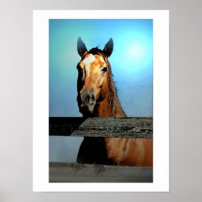 Poster de Retrato de Cavalo (Frente)