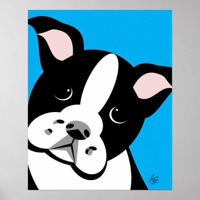 Poster de Retrato Vetor de Boston Terrier (Frente)