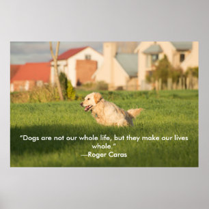 Poster de Retriever de Ouro com Cotação