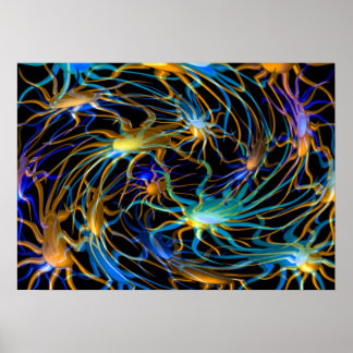 Poster de roda em espiral Valxart