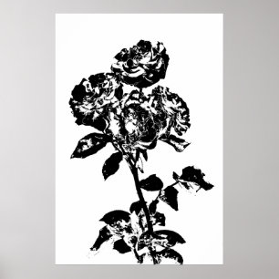 Poster de Rosa de arte ilustrada a preto e branco