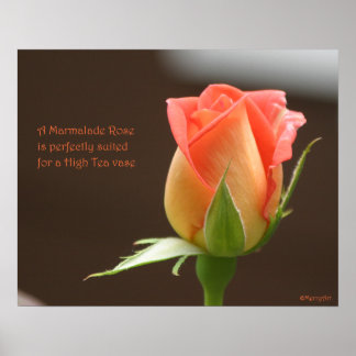 Poster de Rosa Marmalade: ROSA e PROSE 20x16