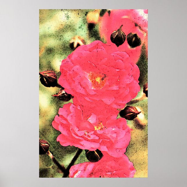 Poster de Rosas Rosa - Foto Digital Arte Floral (Frente)