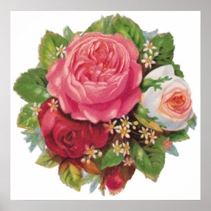 Poster de Rosas Vintage