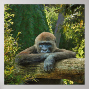 POSTER DE "SALVAR NOSSA ESPÉCIE" DE GORILLA
