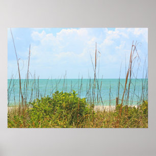 Poster de Sanibel à beira-mar