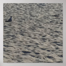 Poster de Seagull