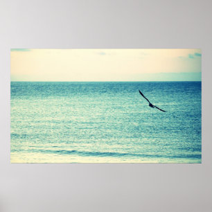 Poster de Seagull