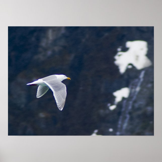 Poster de Seagull 4 (Frente)