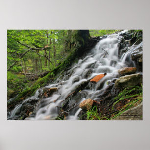 Poster de seda da cascata da floresta das raizes