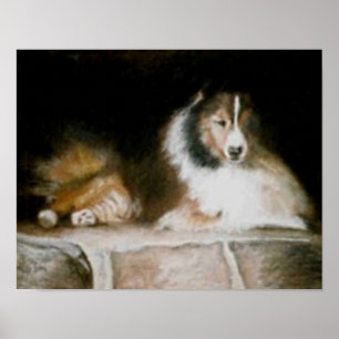 Poster de Sheltie