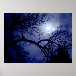 Poster de Silhueta de Árvore de Tamanho da Parede