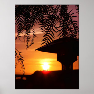 Poster de Silhueta Luz Sunset