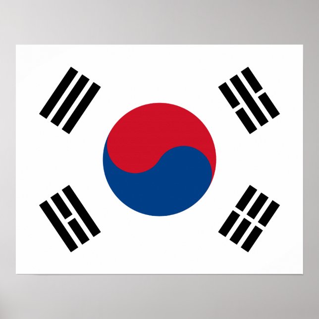 Poster de Sinalizador da Coreia do Sul (Frente)