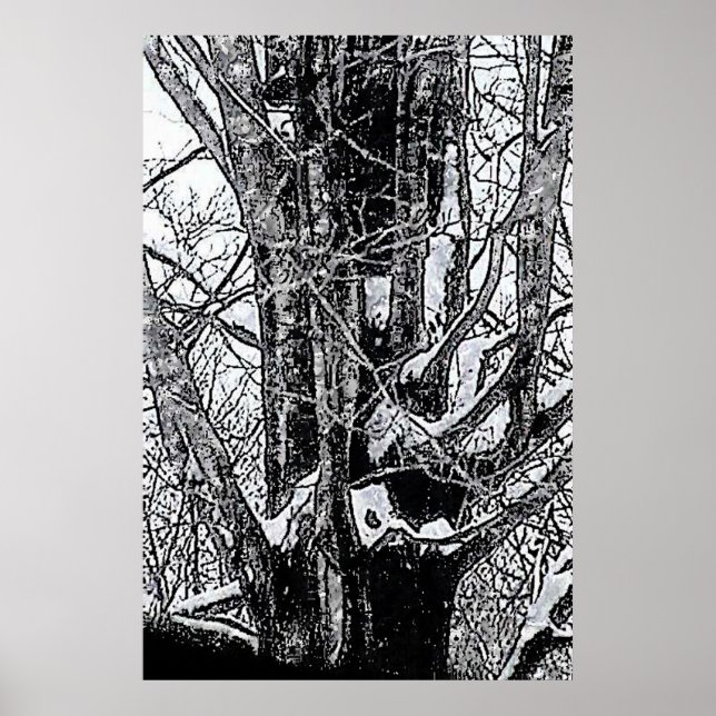 Poster de Snowy Maple O MUSEUM Zazzle Oferece (Frente)