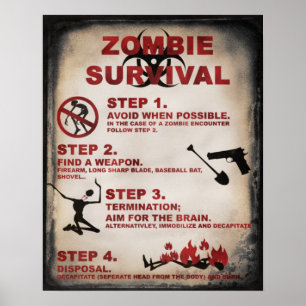 Poster DE SOBREVIVÊNCIA DE ZOMBIE